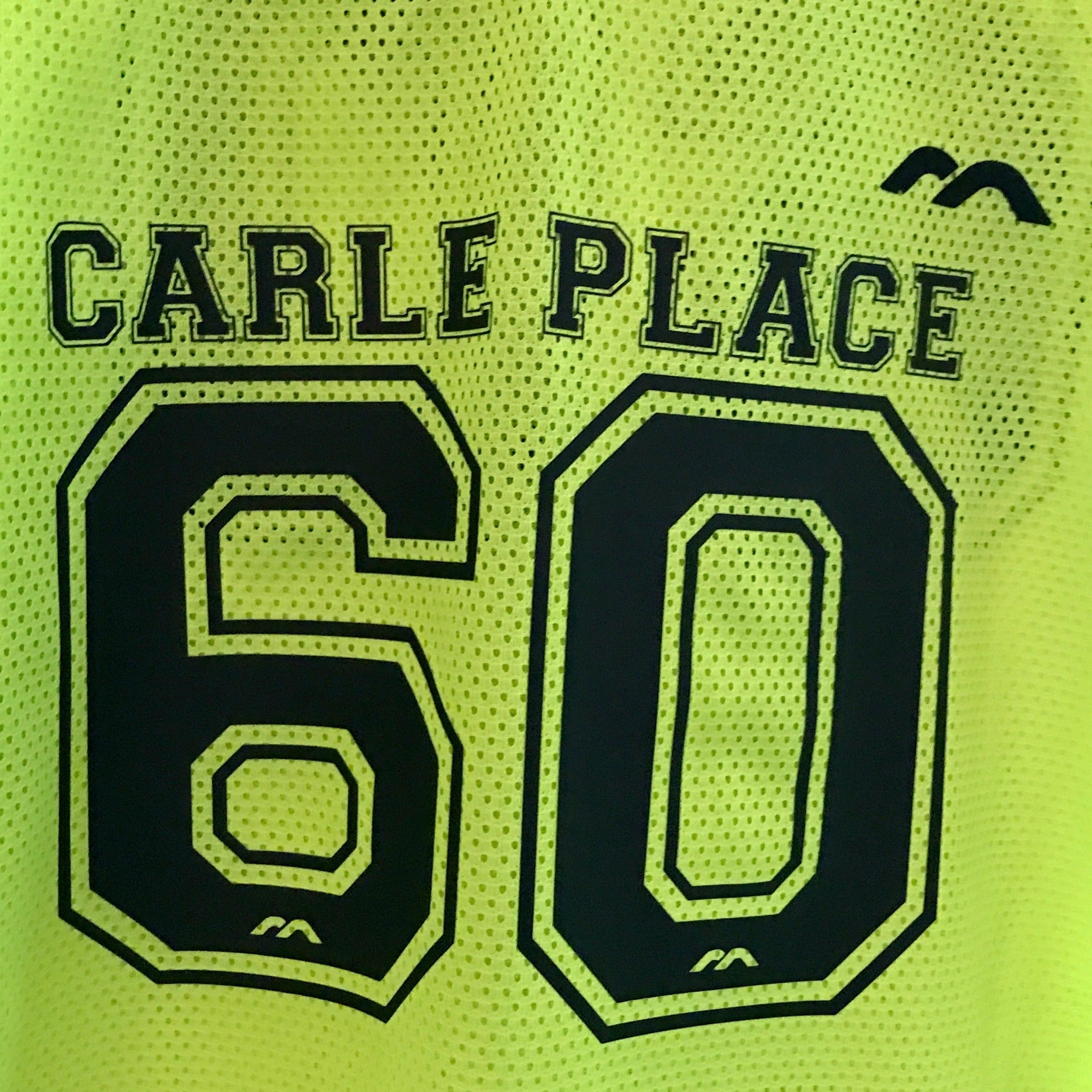 Carle Place 60
